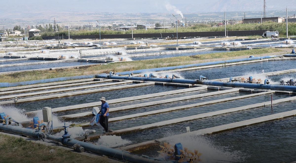 Ռուսական շուկայի բացումը չի կասեցնի տնտեսության դիվերսիֆիկացիան
