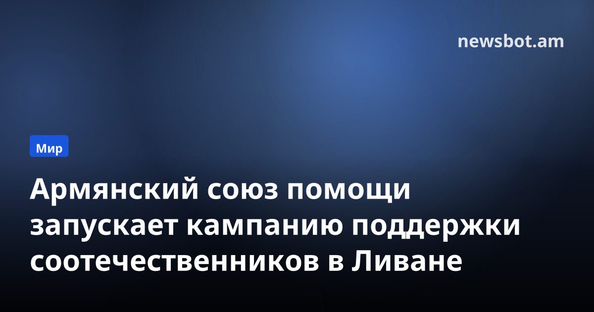 Армянский союз помощи запускает кампанию поддержки соотечественников в Ливане